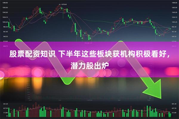股票配资知识 下半年这些板块获机构积极看好，潜力股出炉