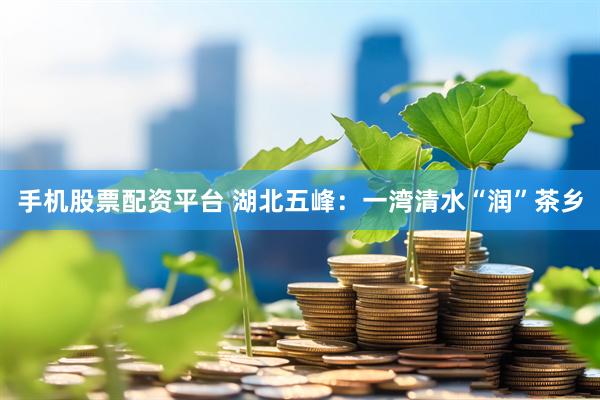 手机股票配资平台 湖北五峰：一湾清水“润”茶乡